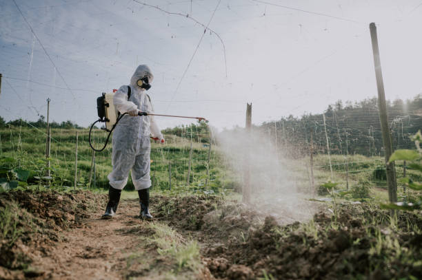 Best Ant Control Services  in Burkesville, KY