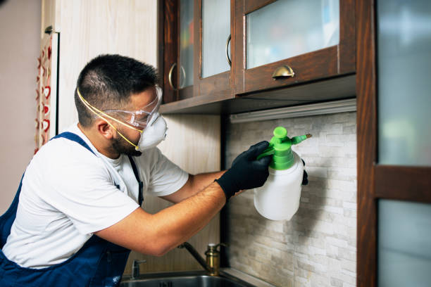 Best Pest Control Near Me in Burkesville, KY