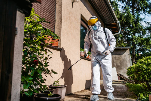 Best Local Pest Control Services  in Burkesville, KY