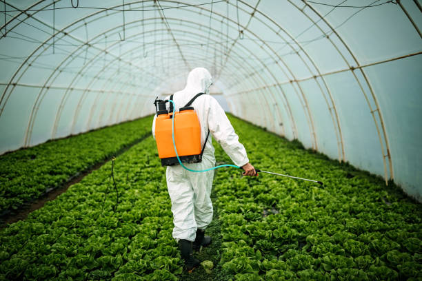 Best Pest Prevention Services  in Burkesville, KY