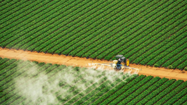 Best Mosquito Control Services  in Burkesville, KY