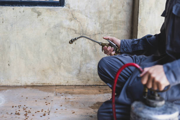Best Pest Control Near Me in Burkesville, KY