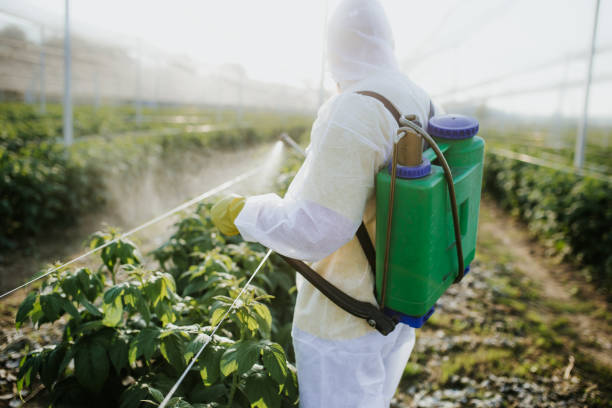 Best Mosquito Control Services  in Burkesville, KY
